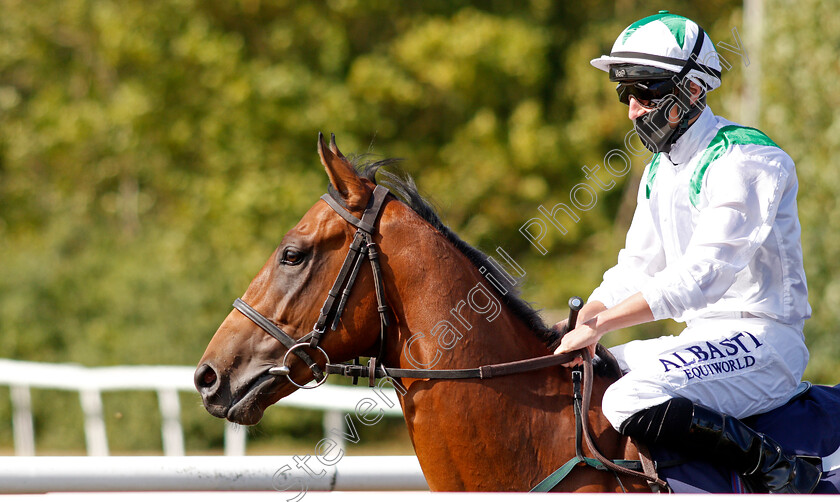 Chosen-Mark-0002 
 CHOSEN MARK (Tom Marquand)
Lingfield 4 Aug 2020 - Pic Steven Cargill / Racingfotos.com