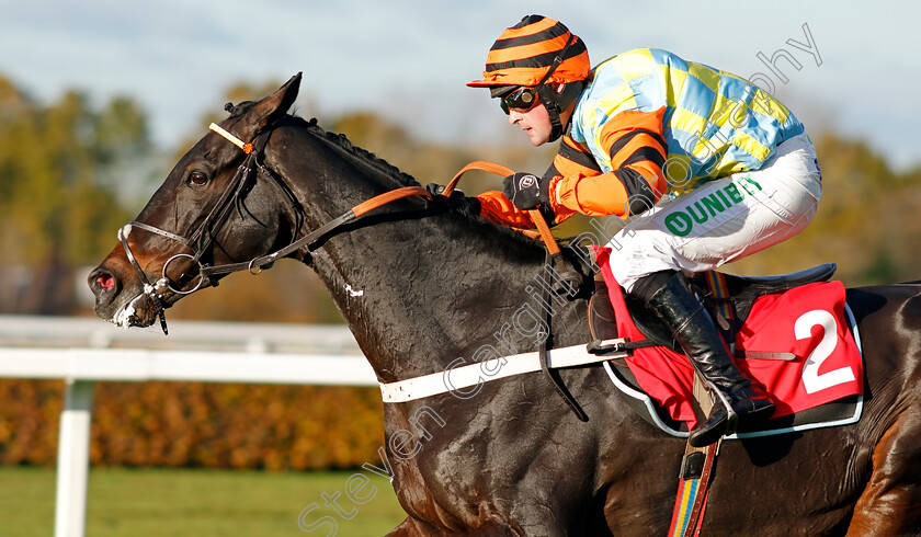 Might-Bite-0008 
 MIGHT BITE (Nico de Boinville) wins The 188bet Future Stars Intermediate Chase Sandown 12 Nov 2017 - Pic Steven Cargill / Racingfotos.com