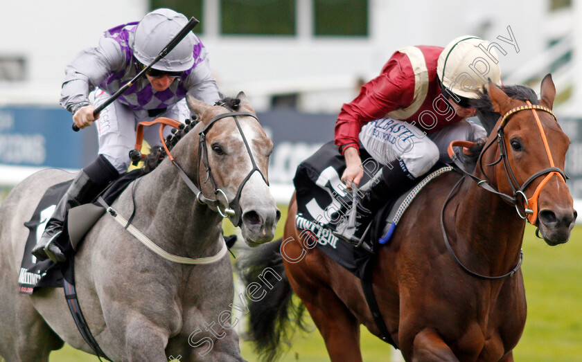 Heartache-0003 
 HEARTACHE (right, Ryan Moore) beats HAVANA GREY (left) in the Wainwrights Flying Childers Stakes Doncaster 15 Sep 2017 - Pic Steven Cargill / Racingfotos.com