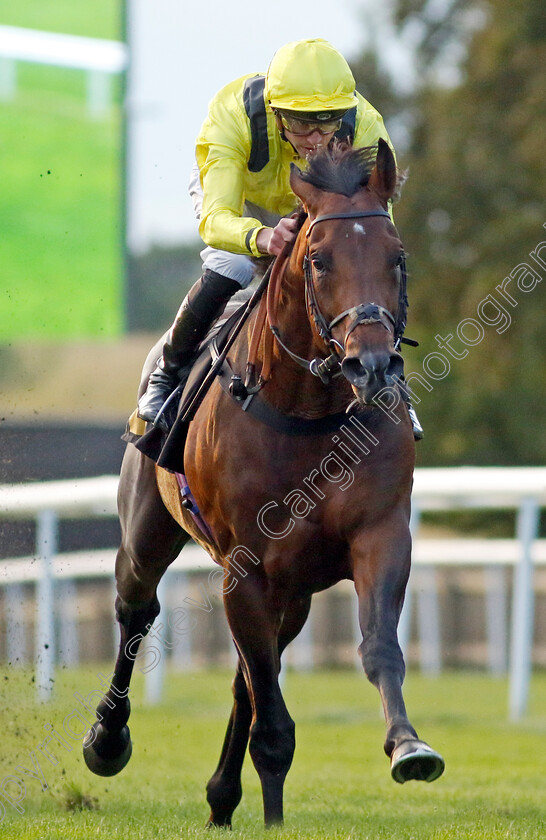 Terwada-0007 
 TERWADA (James Doyle) wins The Every Race Live On Racing TV Handicap
Newmarket 28 Jul 2023 - Pic Steven Cargill / Racingfotos.com