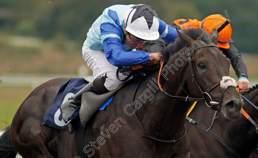 Bobby-Biscuit-0007 
 BOBBY BISCUIT (John Egan) wins The Download The Star Sports App Now! Handicap
Lingfield 3 Oct 2019 - Pic Steven Cargill / Racingfotos.com