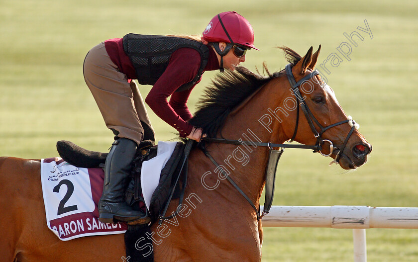 Baron-Samedi-0001 
 BARON SAMEDI training for the Dubai Gold Cup
Meydan, Dubai, 23 Mar 2022 - Pic Steven Cargill / Racingfotos.com