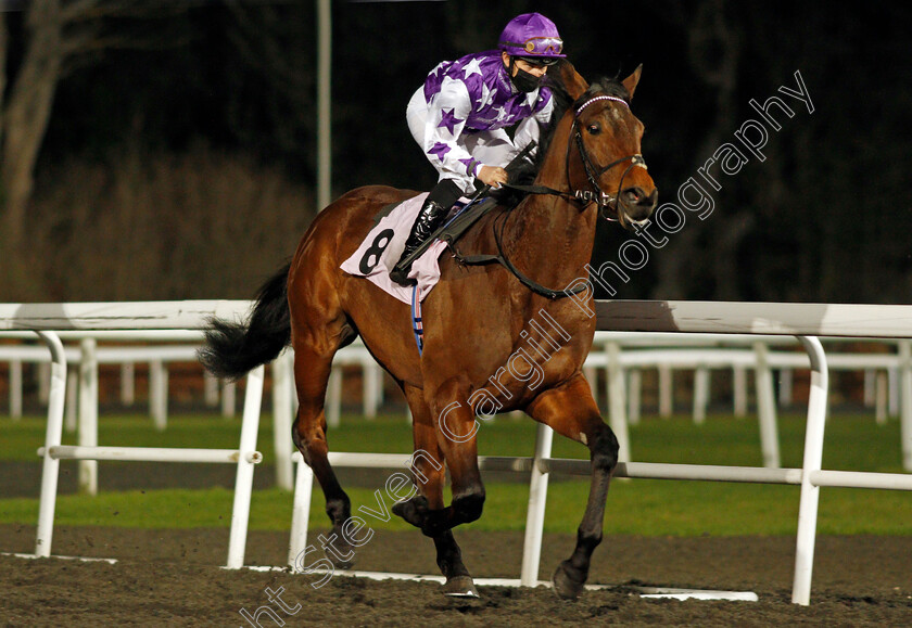 Gooner-Boy-0001 
 GOONER BOY (Nicky Mackay)
Kempton 24 Feb 2021 - Pic Steven Cargill / Racingfotos.com