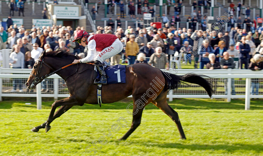 Alobayyah-0005 
 ALOBAYYAH (Tom Marquand) wins The British Stallion Studs EBF Fillies Novice Stakes
Yarmouth 22 Oct 2024 - Pic Steven Cargill / Racingfotos.com