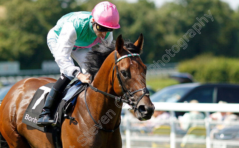 Lead-Artist-0007 
 LEAD ARTIST (Kieran Shoemark) winner of The Bonhams Thoroughbred Stakes
Goodwood 2 Aug 2024 - Pic Steven Cargill / Racingfotos.com