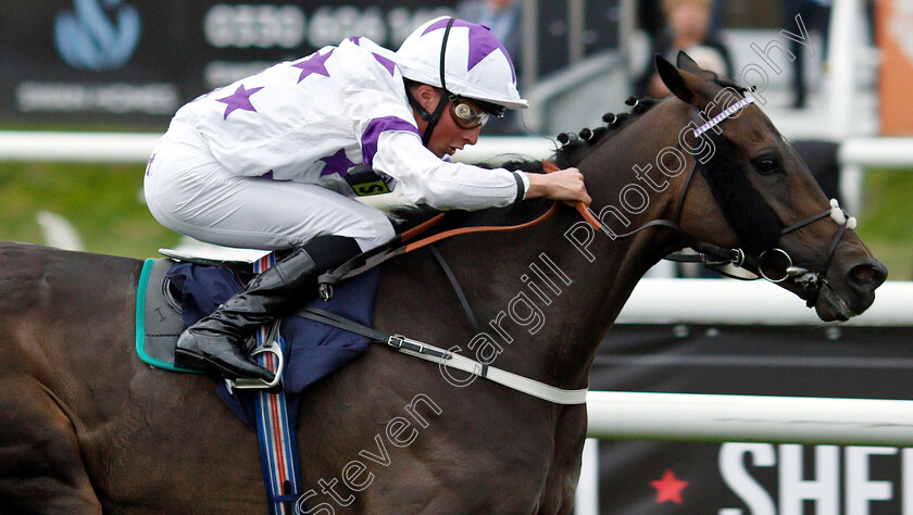 Byron-Flyer-0006 
 BYRON FLYER (William Buick) wins The Cliff Stud Rearing Winners Handicap
Doncaster 15 Sep 2018 - Pic Steven Cargill / Racingfotos.com