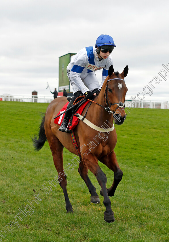 The-Good-Doctor-0001 
 THE GOOD DOCTOR (Beau Morgan)
Sandown 3 Feb 2024 - Pic Steven Cargill / Racingfotos.com