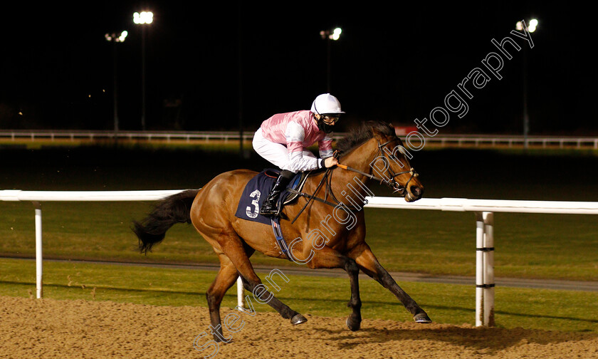 Attracted-0003 
 ATTRACTED (Rhys Clutterbuck) wins The Bombardier Apprentice Handicap
Wolverhampton 12 Mar 2021 - Pic Steven Cargill / Racingfotos.com