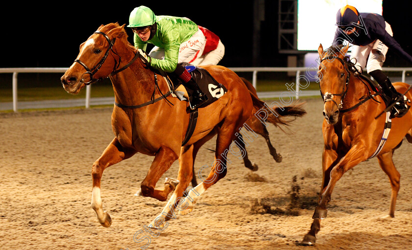 High-Commissioner-0001 
 HIGH COMMISSIONER (David Egan) wins The Racing Welfare Handicap
Chelmsford 4 Mar 2021 - Pic Steven Cargill / Racingfotos.com