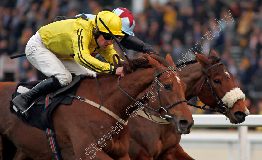 Buildmeupbuttercup-0006 
 BUILDMEUPBUTTERCUP (left, Brian Hughes) beats ROSY WORLD (right) in The Millgate Mares Standard Open National Hunt Flat Race Ascot 17 Feb 2018 - Pic Steven Cargill / Racingfotos.com