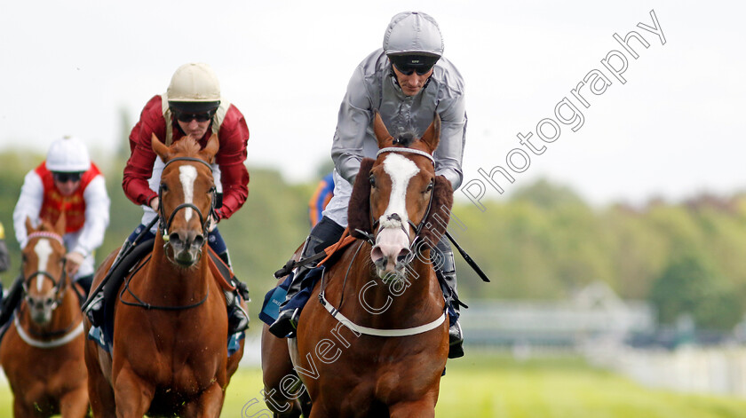 Last-Crusader-0009 
 LAST CRUSADER (Daniel Tudhope) wins The British Stallion Studs EBF Westow Stakes
York 12 May 2022 - Pic Steven Cargill / Racingfotos.com