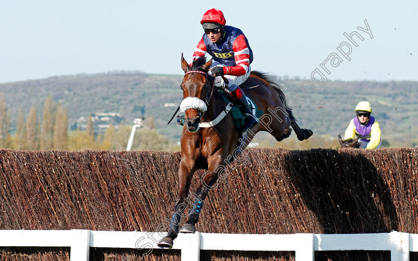 The-Nipper-0002 
 THE NIPPER (Richard Johnson) Cheltenham 19 Apr 2018 - Pic Steven Cargill / Racingfotos.com