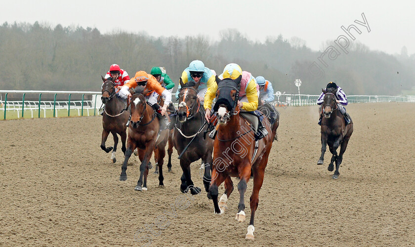 Mewtow-0003 
 MEWTOW (Oisin Murphy) wins The 32Red.com EBF Novice Stakes Div2 Lingfield 20 Dec 2017 - Pic Steven Cargill / Racingfotos.com