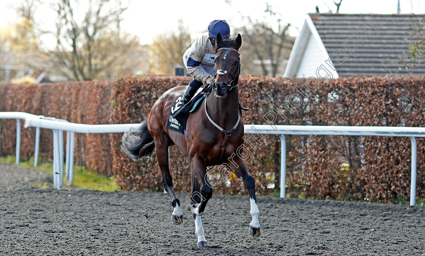 Imperial-Sands-0002 
 IMPERIAL SANDS (Hollie Doyle)
Kempton 5 Apr 2021 - Pic Steven Cargill / Racingfotos.com