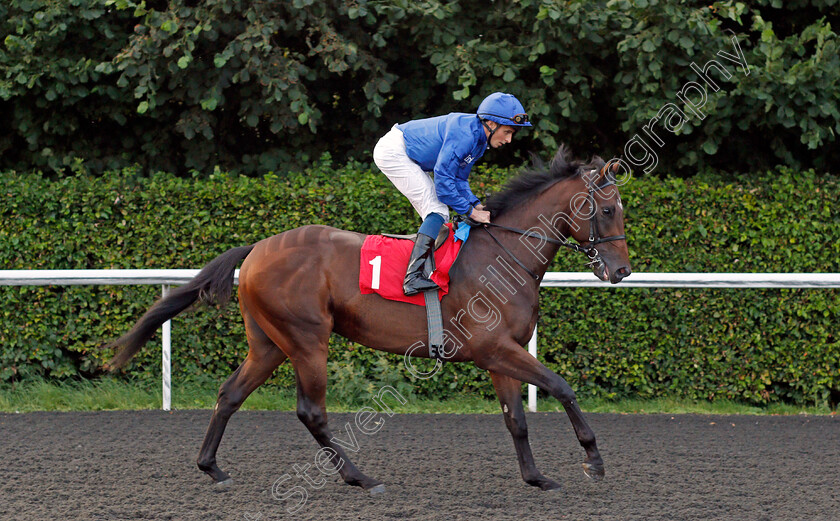 Al-Jaddaf-0001 
 AL JADDAF (William Buick)
Kempton 3 Sep 2021 - Pic Steven Cargill / Racingfotos.com