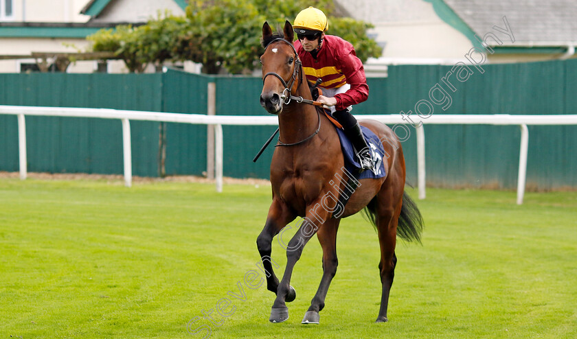 Joycean-Way-0002 
 JOYCEAN WAY (Jack Mitchell)
Yarmouth 20 Sep 2023 - Pic Steven Cargill / Racingfotos.com