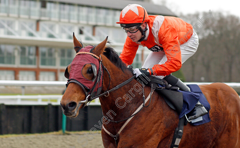 Goring-0005 
 GORING (Charles Bishop) wins The Play For Free At sunbets.co.uk/vegas Handicap Lingfield 13 Dec 2017 - Pic Steven Cargill / Racingfotos.com