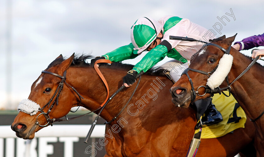 Celtic-Warrior-0002 
 CELTIC WARRIOR (Oisin Murphy) wins The Additional Maiden Stakes
Kempton 3 Apr 2024 - Pic Steven Cargill / Racingfotos.com