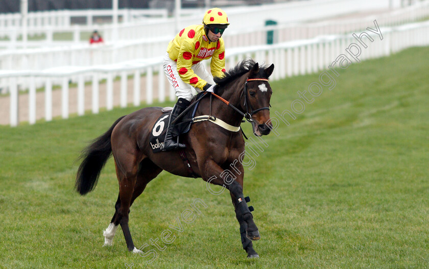 Mr-Pumblechook-0001 
 MR PUMBLECHOOK (Wayne Hutchinson)
Cheltenham 1 Jan 2019 - Pic Steven Cargill / Racingfotos.com