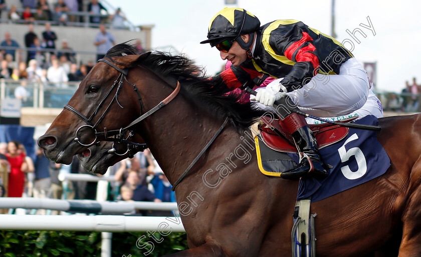 Global-Applause-0006 
 GLOBAL APPLAUSE (Gerald Mosse) wins The D C Training And Development Services Scarbrough Stakes
Doncaster 12 Sep 2018 - Pic Steven Cargill / Racingfotos.com