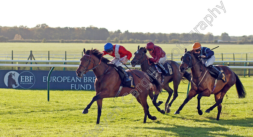 Bashkirova-0001 
 BASHKIROVA (Tom Marquand) wins The Devils Dyke Fillies Handicap
Newmarket 20 Oct 2021 - Pic Steven Cargill / Racingfotos.com