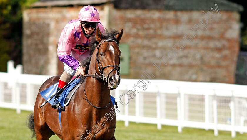 Youllovemewheniwin-0001 
 YOULLOVEMEWHENIWIN (Jimmy Quinn)
Salisbury 1 Oct 2020 - Pic Steven Cargill / Racingfotos.com