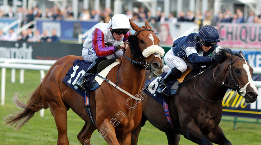 Von-Blucher-0003 
 VON BLUCHER (left, Cam Hardie) beats NORMANDY BARRIERE (right) in The Lakeside Village Outlet Shopper Handicap
Doncaster 14 Sep 2018 - Pic Steven Cargill / Racingfotos.com