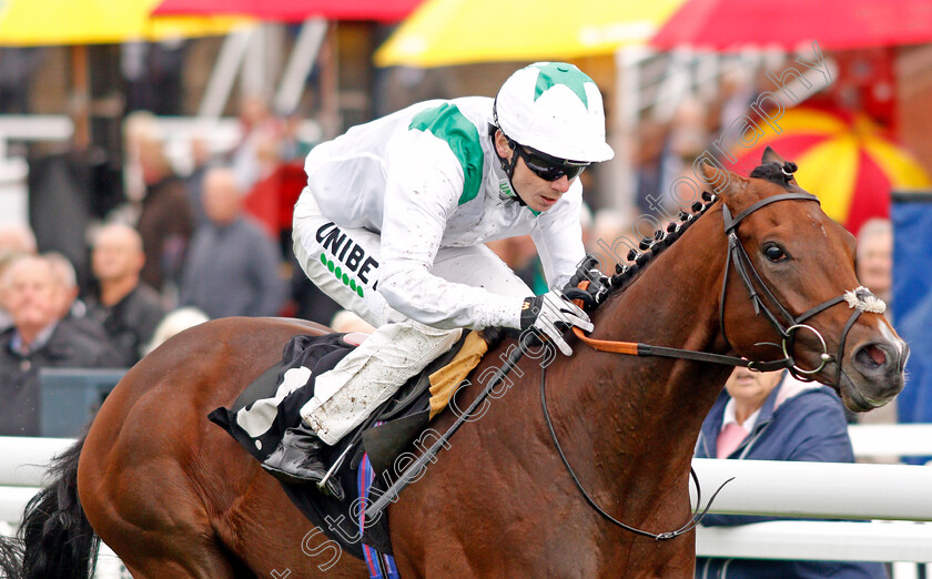 Khalifa-Sat-0006 
 KHALIFA SAT (Jamie Spencer) wins The Heineken 0.0% Future Stayers EBF Maiden Stakes
Goodwood 25 Sep 2019 - Pic Steven Cargill / Racingfotos.com