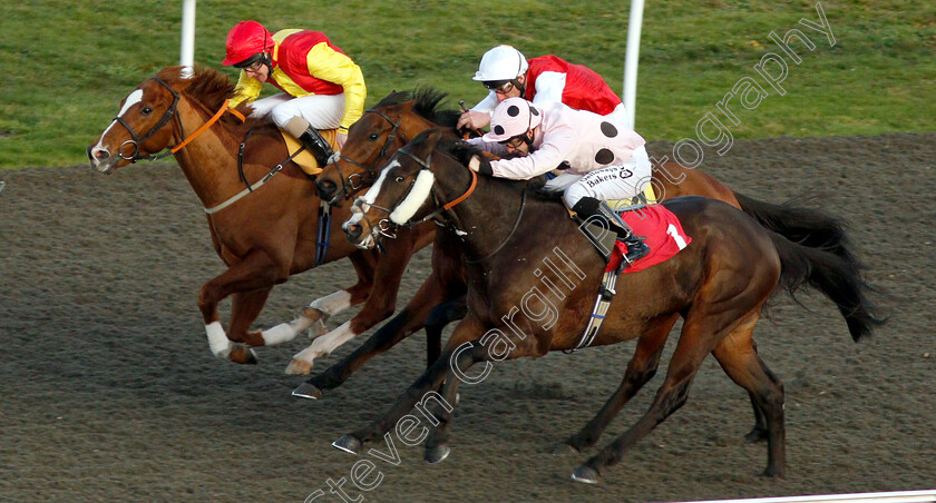 Chiefofchiefs-0003 
 CHIEFOFCHIEFS (nearside, Richard Kingscote) beats FAMILY FORTUNES (farside) in The 32Red.com Handicap
Kempton 4 Jan 2019 - Pic Steven Cargill / Racingfotos.com