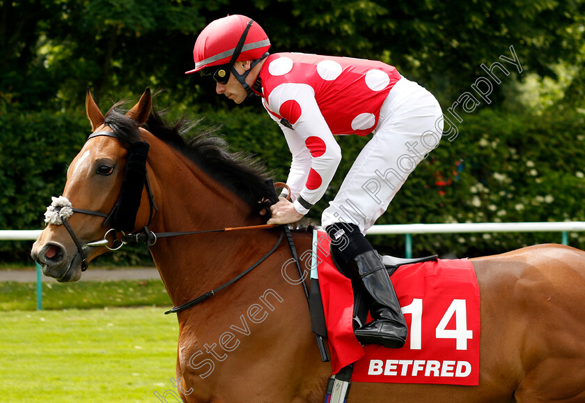 Wynter-Wildes-0001 
 WYNTER WILDES (Kieran Shoemark)
Haydock 8 Jun 2024 - Pic Steven Cargill / Racingfotos.com