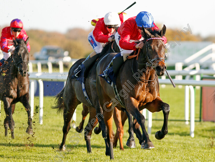 Tallow-0002 
 TALLOW (Jim Crowley) wins The Betfred Mobile Cock O'The North EBF Maiden Stakes Div2 Doncaster 11 Nov 2017 - Pic Steven Cargill / Racingfotos.com