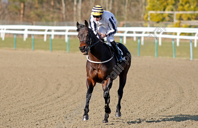 Orvar-0001 
 ORVAR (Luke Morris) Lingfield 24 Feb 2018 - Pic Steven Cargill / Racingfotos.com