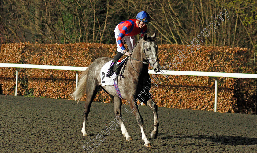 Arctic-Vega-0002 
 ARCTIC VEGA (Rob Hornby) winner of The 32Red On The App Store Maiden Stakes Div1
Kempton 19 Feb 2020 - Pic Steven Cargill / Racingfotos.com