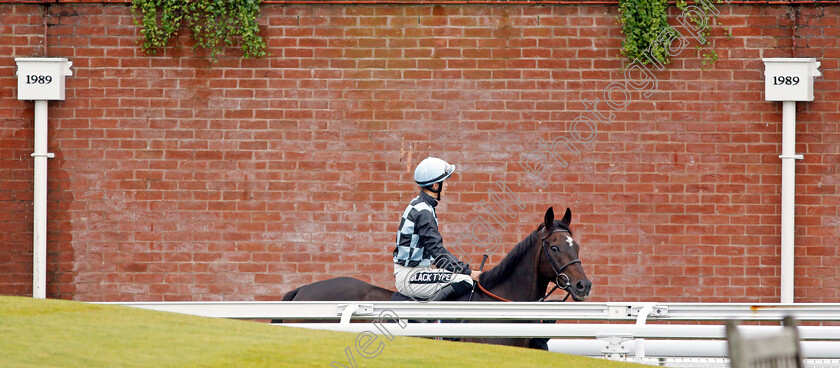 Air-Pilot-0001 
 AIR PILOT (Harry Bentley) before The British Stallion Studs EBF Foundation Stakes
Goodwood 25 Sep 2019 - Pic Steven Cargill / Racingfotos.com