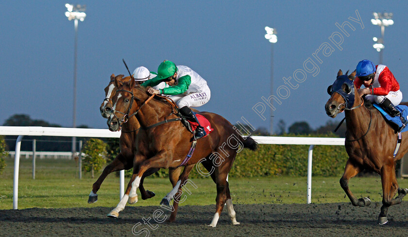 Kuwait-Currency-0001 
 KUWAIT CURRENCY (Pat Dobbs) wins The 32Red Handicap
Kempton 2 Oct 2019 - Pic Steven Cargill / Racingfotos.com