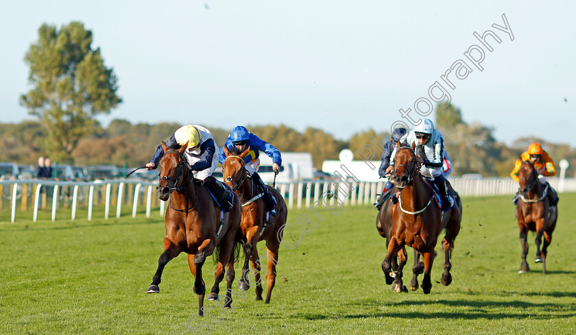 At-Liberty-0006 
 AT LIBERTY (Ryan Moore) wins The Cazoo Search Drive Smile Handicap
Yarmouth 18 Oct 2022 - Pic Steven Cargill / Racingfotos.com