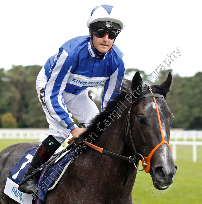 Fox-Power-0001 
 FOX POWER (Tom Queally)
Ascot 8 Sep 2018 - Pic Steven Cargill / Racingfotos.com