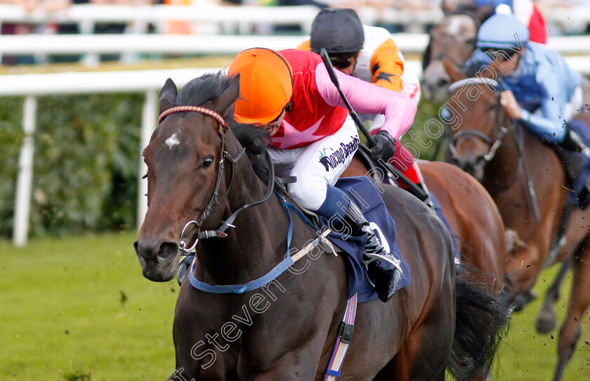 Breathtaking-Look-0005 
 BREATHTAKING LOOK (Jim Crowley) wins The Japan Racing Association Sceptre Stakes
Doncaster 13 Sep 2019 - Pic Steven Cargill / Racingfotos.com