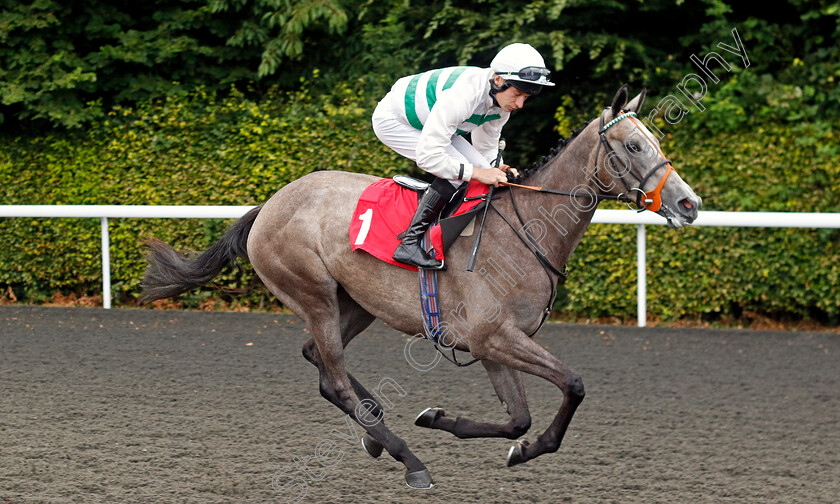 Alla-Stella-0005 
 ALLA STELLA (Luke Morris) wins The Unibet British Stallion Studs EBF Fillies Novice Stakes
Kempton 16 Jul 2024 - Pic Steven Cargill / Racingfotos.com