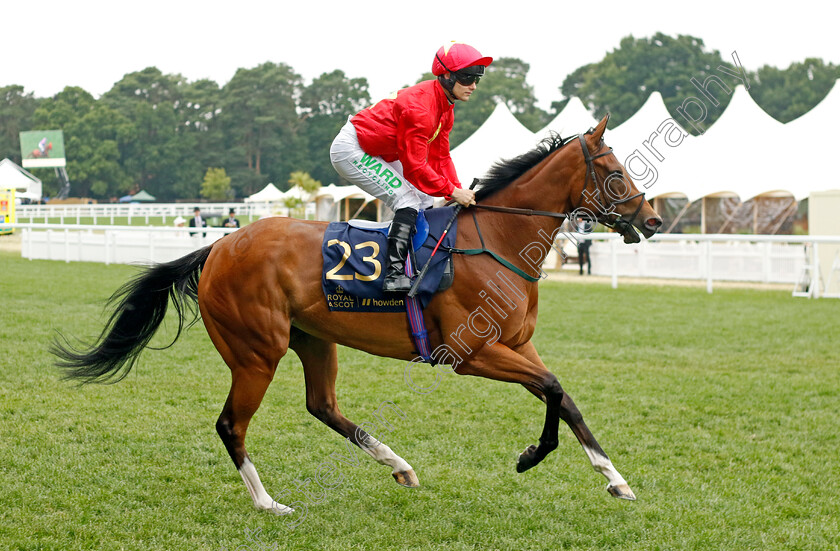 Highfield-Princess 
 HIGHFIELD PRINCESS (Jason Hart)
Royal Ascot 18 Jun 2022 - Pic Steven Cargill / Racingfotos.com