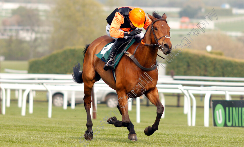 Tobefair-0004 
 TOBEFAIR (Tom Bellamy) wins The Safran Landing Systems Handicap Hurdle
Cheltenham 17 Apr 2019 - Pic Steven Cargill / Racingfotos.com