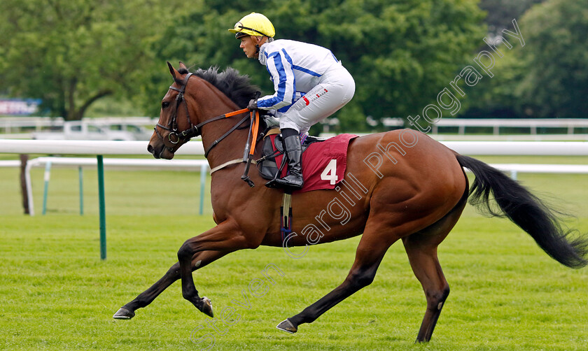 Go-On-Rosie-0001 
 GO ON ROSIE (Faye McManoman)
Haydock 24 May 2024 - Pic Steven cargill / Racingfotos.com