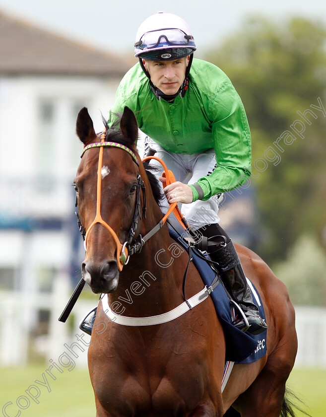 Arthur-Kitt-0002 
 ARTHUR KITT (Richard Kingscote)
Epsom 24 Apr 2019 - Pic Steven Cargill / Racingfotos.com