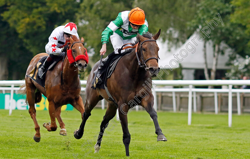 No-Half-Measures-0004 
 NO HALF MEASURES (Ryan Moore) wins The Blake-Turner Solicitors Handicap
Newmarket 12 Jul 2024 - pic Steven Cargill / Racingfotos.com