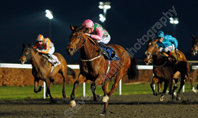 Adelaise-0005 
 ADELAISE (David Probert) wins The Unibet Supporting Safe Gambling Fillies Novice Stakes
Kempton 2 Mar 2022 - Pic Steven Cargill / Racingfotos.com