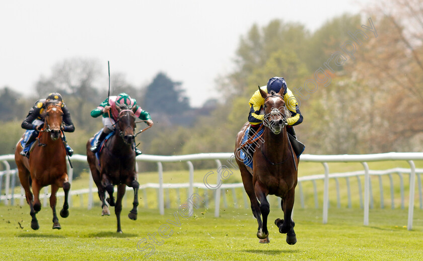 Spanish-Phoenix-0008 
 SPANISH PHOENIX (Oisin Murphy) wins The Atlantic Pale Ale Maiden Stakes
Leicester 29 Apr 2023 - Pic Steven Cargill / Racingfotos.com