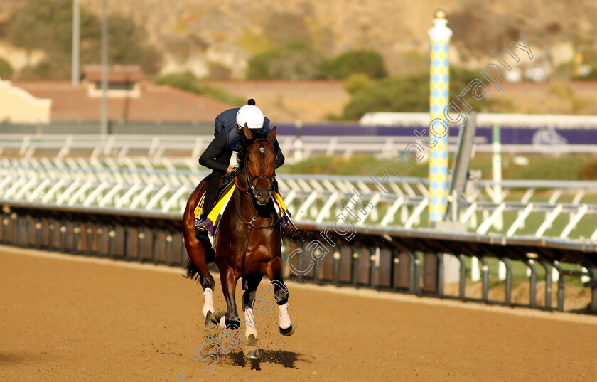 Sierra-Leone-0002 
 SIERRA LEONE training for the Breeders' Cup Classic
Del Mar USA 31 Oct 2024 - Pic Steven Cargill / Racingfotos.com