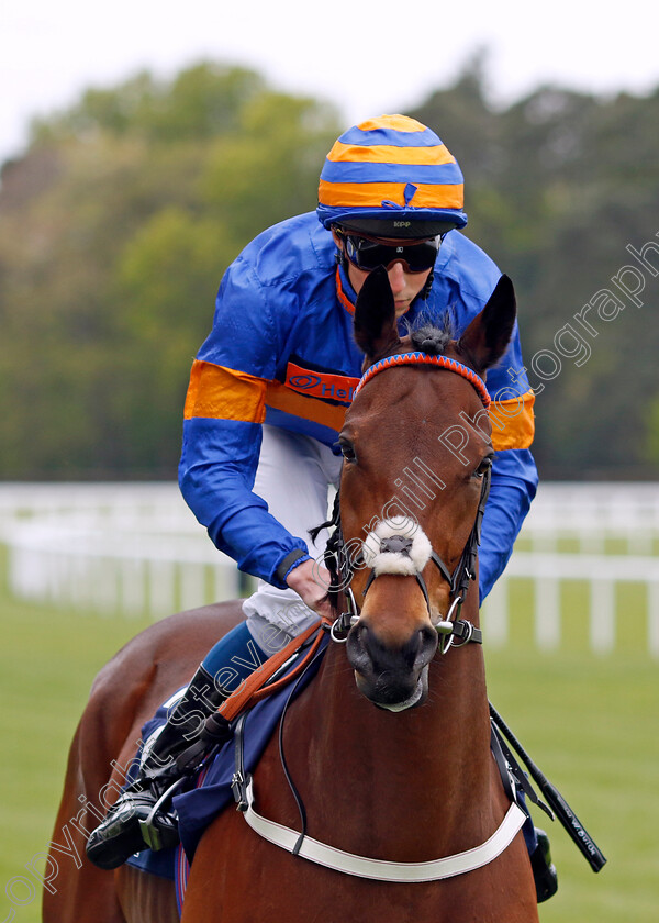 Enemy-0002 
 ENEMY (William Buick)
Ascot 27 Apr 2022 - Pic Steven Cargill / Racingfotos.com