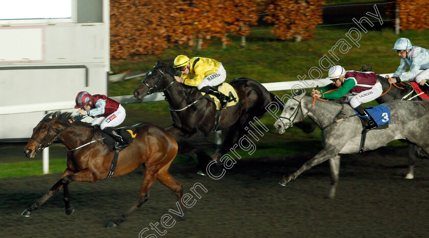 Bella-Brazil-0002 
 BELLA BRAZIL (Hollie Doyle) beats BAADIRR (centre) and LETHAL TALENT (right) in The 32Red Nursery Handicap
Kempton 27 Nov 2019 - Pic Steven Cargill / Racingfotos.com