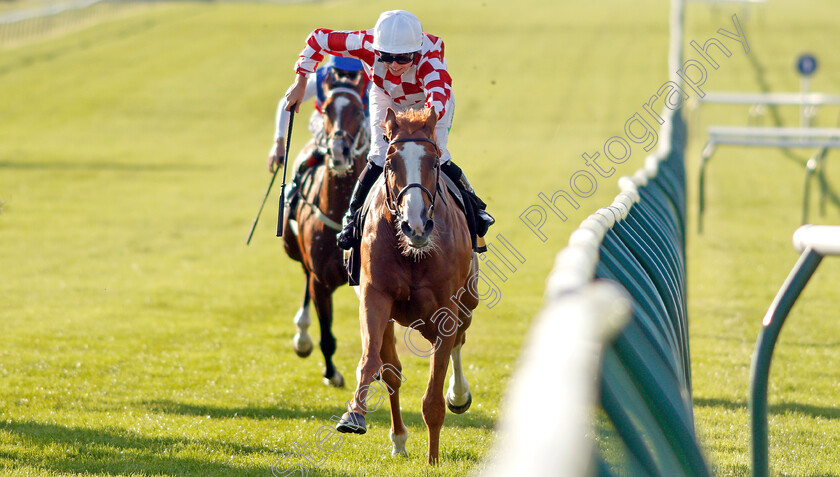 Rhebus-Road-0003 
 RHEBUS ROAD (Jane Elliott) wins The Newmarket Challenge Whip
Newmarket 23 Sep 2021 - Pic Steven Cargill / Racingfotos.com